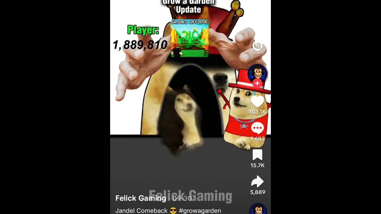 Jandel comeback☠️☠️☠️ 