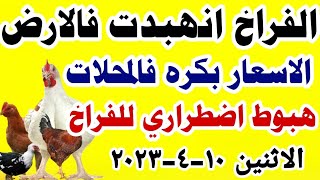 اسعار الفراخ البيضاء اليوم | سعر الفراخ البيضاء اليوم  مصر الاثنين ١٠-٤-٢٠٢٣