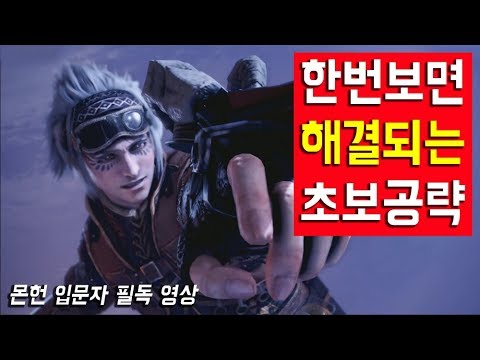 몬스터 헌터 월드 입문자 완벽 공략(한 번 보면 끝)