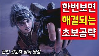 몬스터 헌터 월드 입문자 완벽 공략(한 번 보면 끝)