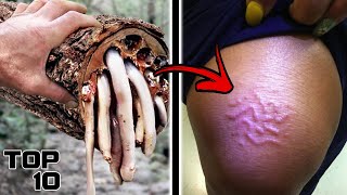 Top 10 Terrifying Trees You Should NEVER Touch