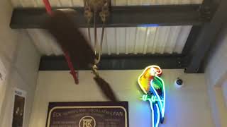 X2 Vintage Puppet Belt Driven Ceiling Fans at Fanimation