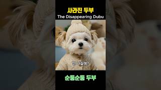 사라진 두부 | The Disappearing Dubu 🐶👀