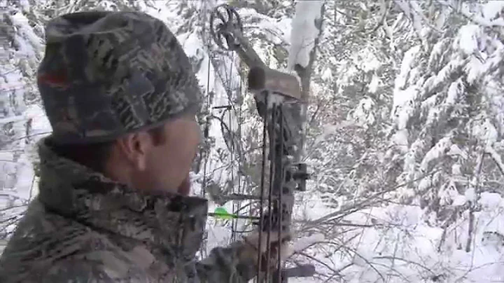 Hunting Mountain Lion with Bow in Idaho