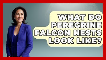 What Do Peregrine Falcon Nests Look Like? - Exploring Campgrounds