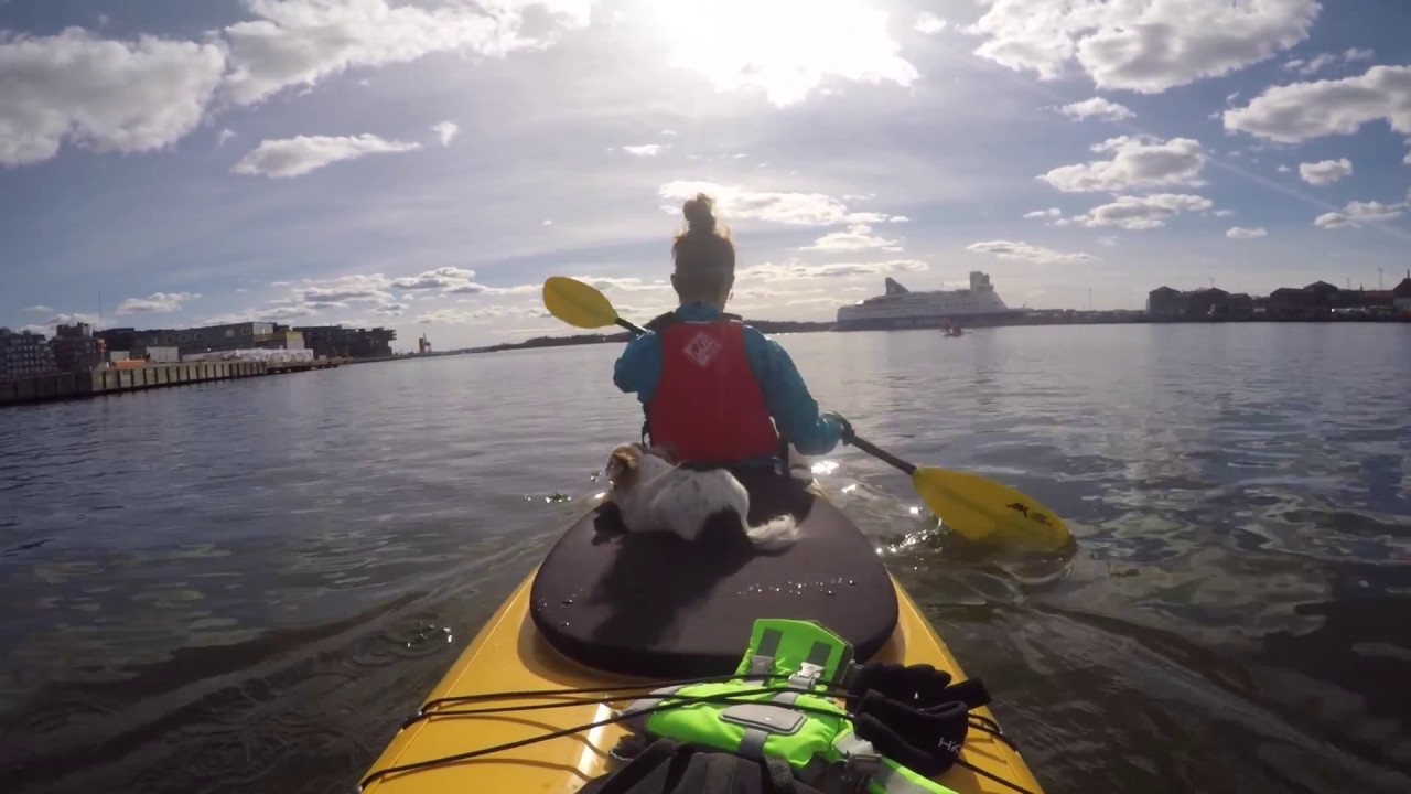 Sea kayaking Oslo Fjord YouTube
