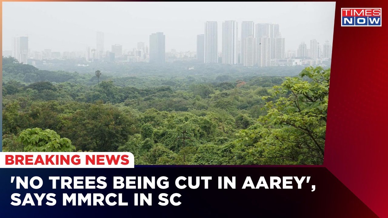 Aarey Metro Shed Row: 'No Tree Cut Since 2019', Says MMRCL | Latest News | English News