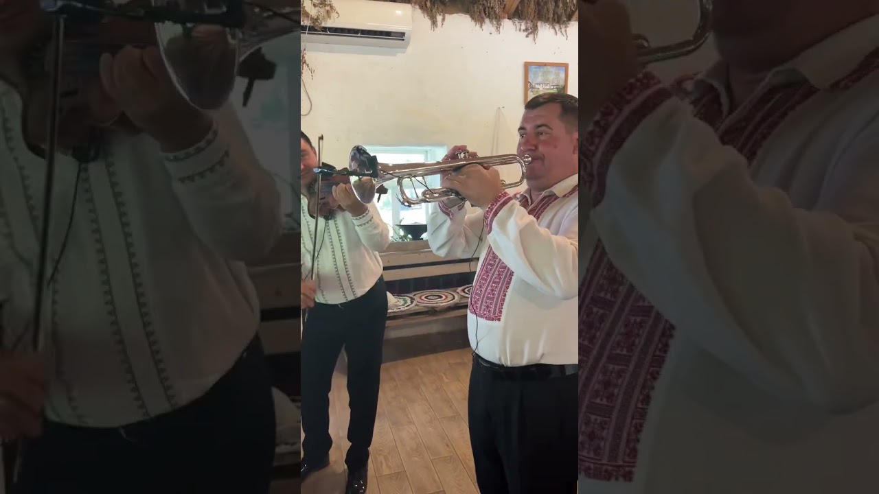 Nunta Olga&Ted | Formatia Vlad TOCAN la Butuceni 2025 @vtmusic4894 