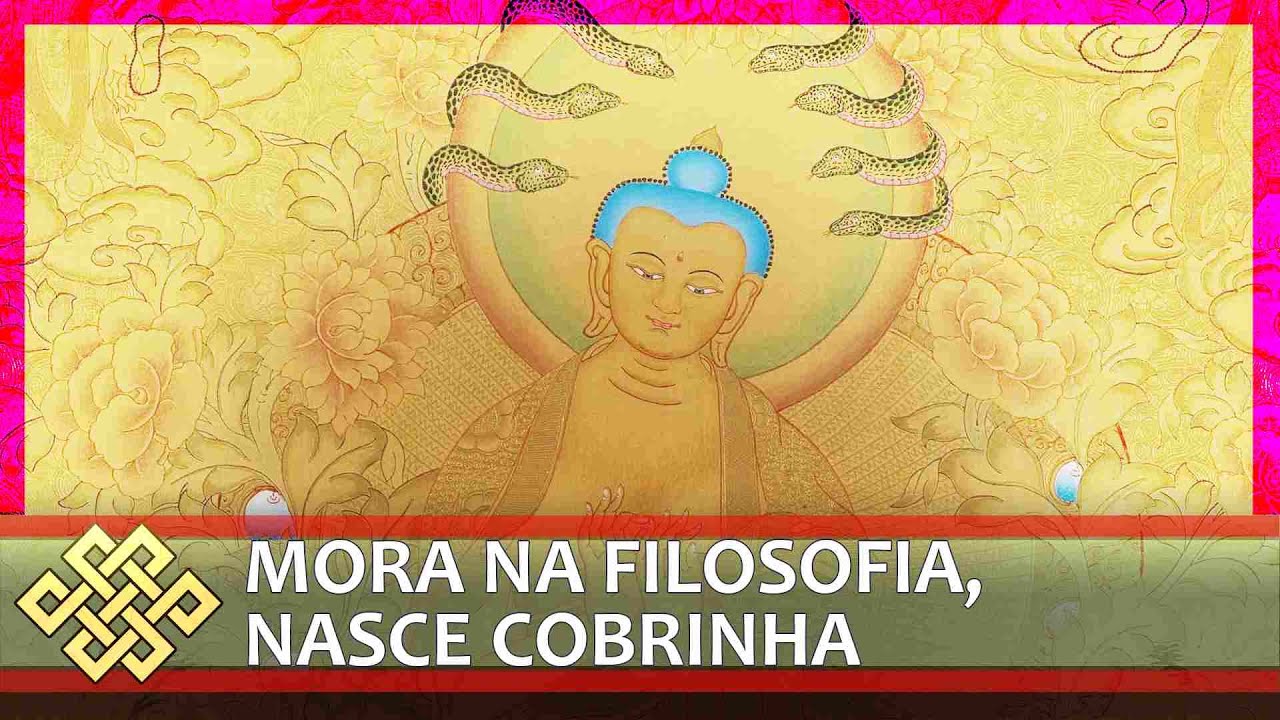 Vacuidade e antifilosofia