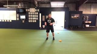 Lateral step back sprint