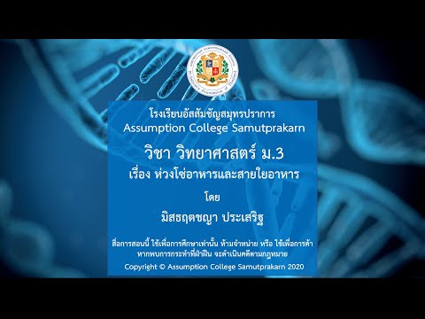 SC0903 | วิทยาศาสตร์พื้นฐาน : ห่วงโซ่อาหารและสายใยอาหาร | โดย มิสธฤตชญา ประเสริฐ