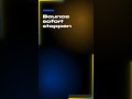 Bounce Run abbrechen – Master-Ready Exportstop in Logic