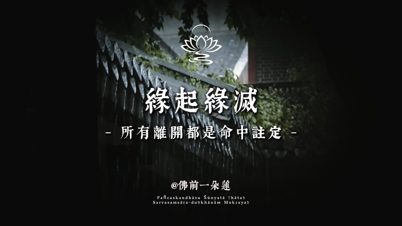 用最真實的話，告訴你聚散的真相 丨 佛前一朵蓮 #修行 #國學 #人生感悟 #治癒 #開悟