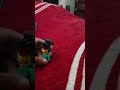 pov: estamos en una casa embrujada☠️