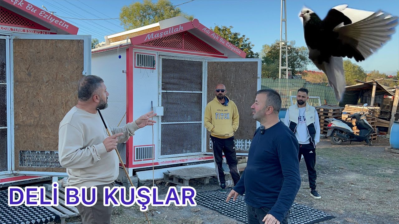 KOSOVA DÖNEKLERİ VE MAKEDON DÖNEKLERİ  BİRBİRLERİNE KARŞI  RESTLEŞMEYLE UÇURULDU