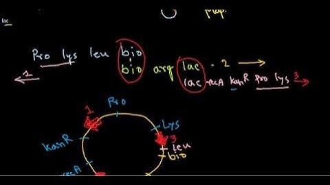 Gene mapping in bacteria | hfr mating problem 1 | CSIR UGC NET exam | practice problems