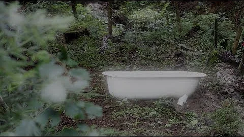 The Healing Power of a 'Forest Bath