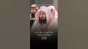 تلاوة مؤثرة من أواخر سورة مريم للشيخ عبد الرحمن السديس