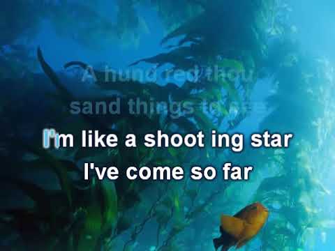 Karaoke Instrumental I Colori Del Vento Disney Pocahontas