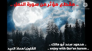 القارئ معاذ العيد في تلاوة مؤثرة وخاشعة لآيات من سورة النمل..