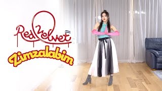 Red Velvet 레드벨벳 - '짐살라빔 (Zimzalabim)' Dance Cover | Ellen and Brian