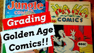 The Daily Grade | Grading a stack of 1940s Golden Age comic books! Looney Tunes! Jungle Comics!