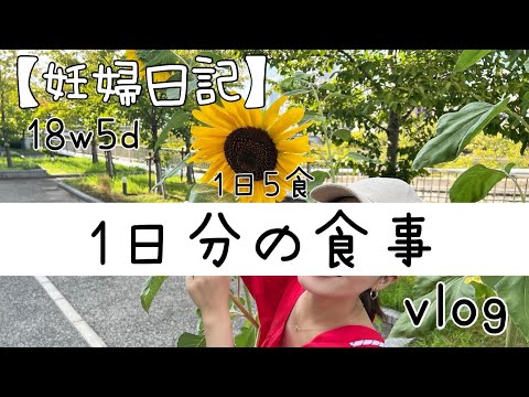 【妊婦日記】1日5食　妊娠5ヶ月の妊婦の食事vlog#食事日記#妊娠中期#妊娠5ヶ月#妊婦ダイエット#妊娠記録