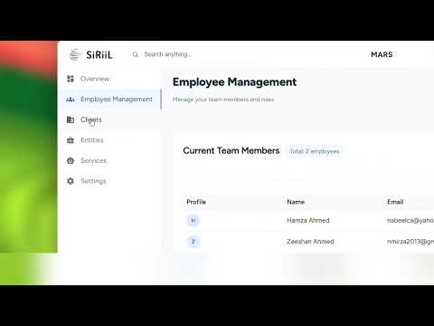 SiRiiL Financial Statements Demo