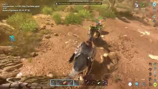 Ark Ascended Scorched Earth Reborn