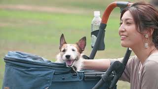 ペットパラダイス | SMOOCA(スムーカ) - クリエイティブヨーコ