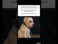 Dost #Relatable #FunnyMemes #Popular #Viral #Memes #Dost #TweetReels