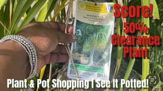 421: Plant Shoppin’ & Pottin’ My 50% Off Lowes Clearance Plant! + Walmart White Planter Haul