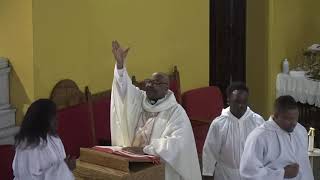 St. Dominic Roman Catholic Church Live Stream