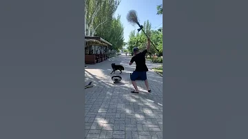 Отпугиватель собак