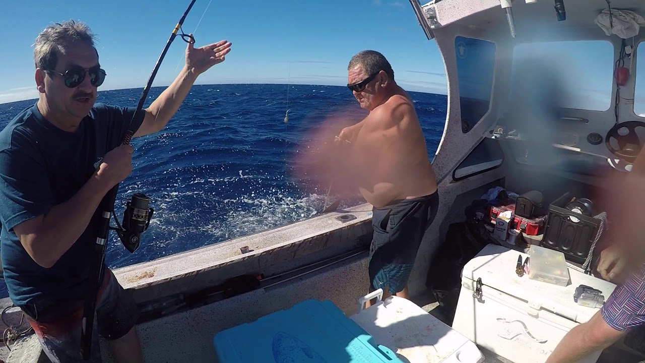 fishing Kailua kona shark action YouTube