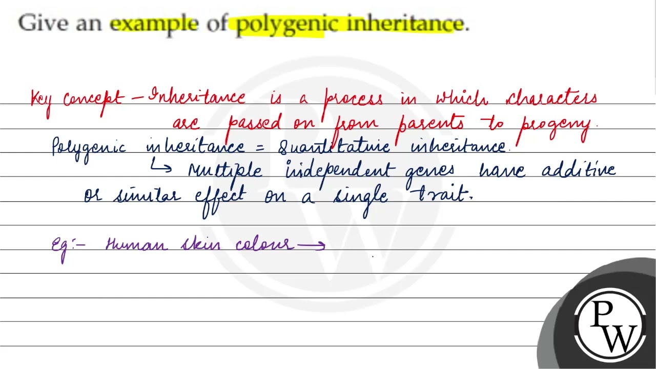 Polygenic Inheritance Examples
