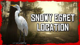 Snowy Egret Location Red Dead Online
