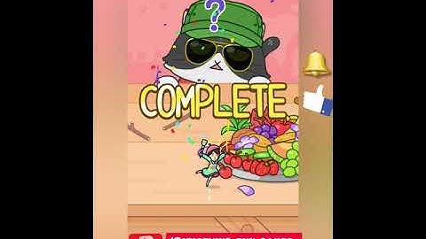 Hide And Seek: Cat Escape Game. All New Level Gameplay Walk-through(android & ios) #gameplay #shorts