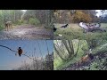 Top 10 najlepsze nagrania fotopułapki 2020 - Camera Trap Top 10 Of 2020