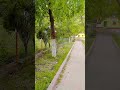#nature #status #naturelovers #collegelife #short