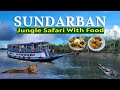 Sundarban tour 2024  sundarban jungle safari  kolkata tourist places