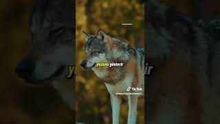 Allah Bir Kulunu Severse Etrafındakilerin Gerçek Yüzünü Gösterir