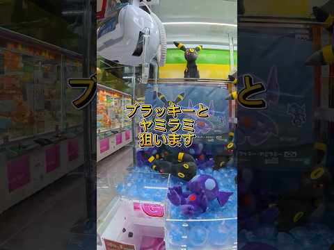 クレゲ日記 ポケモン ブラッキー＆ヤミラミ #クレーンゲーム