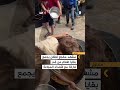 أطفال غزة يقاتلون من أجل البقاء في ظل المجاعة أطفال غزة يقاتلون من أجل البقاء في ظل المجاعة