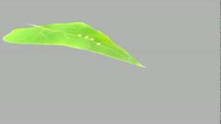 Bryce Animation Exercise 3