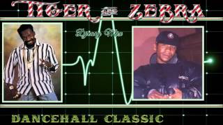 Tiger and Zebra Dancehall Classic Sizzling mix by Djeasy