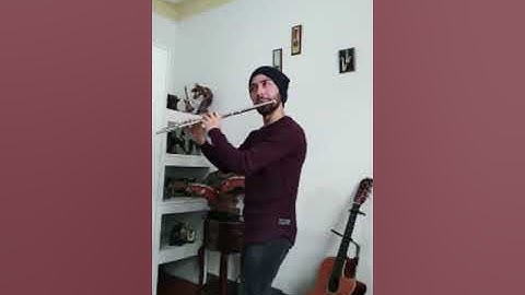 Daniel Erazo from our cultural campaign #IrlandaInspira