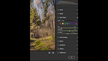 spring to autumn photoshop tutorial by #grapexels