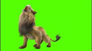 GREENSCREEN LION   green screen singa   free