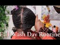 Moisturizing Fall Wash Day Routine for Fine, Low Porosity Hair |  Deep Condition + Steam Treatment